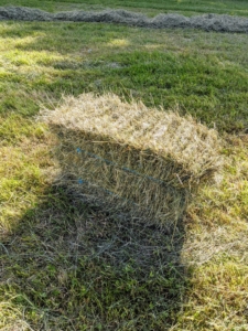 This bale accidentally fell out of the trailer and will be picked up on a later pass. Each bale is about 15 by 18 by 40 inches large. The number of flakes in the bale is determined by a setting in the baler. Many balers are set for 10 to 12 flakes per bale.