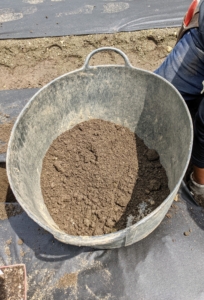 All my plants do so well in part because of the nutrient rich soil that is used. I amend this soil every year, adding good compost and organic fertilizers.