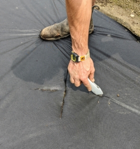 At each designated spot, Brian cuts an “x” with a utility knife through the weed cloth that’s just big enough for the plant.