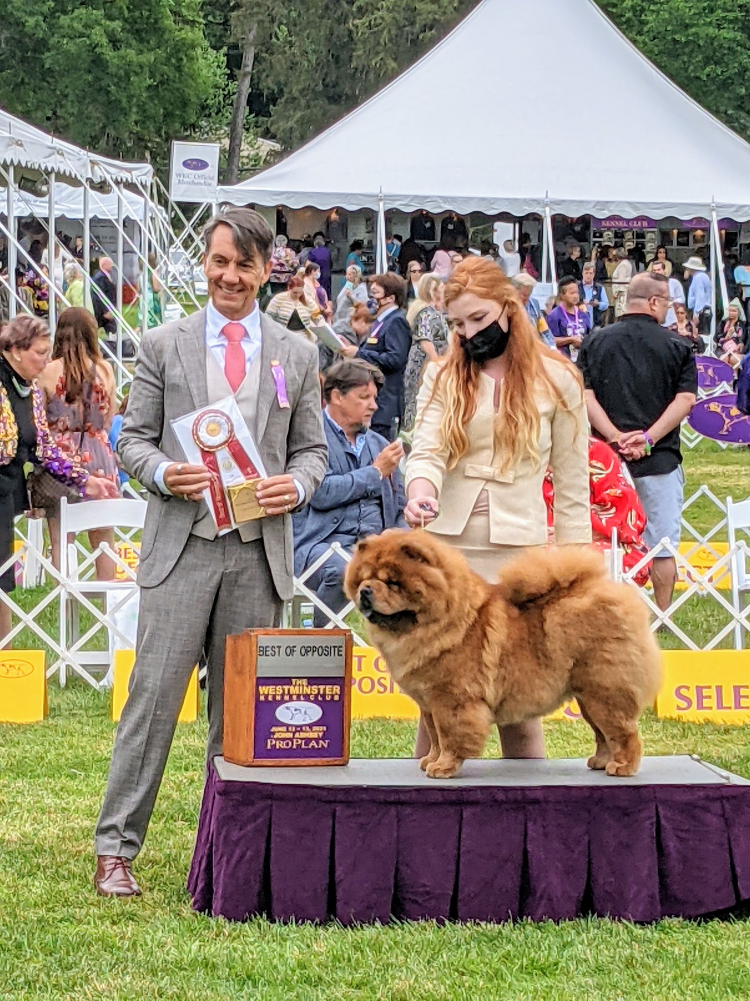 The 145th Westminster Kennel Club Dog Show, Part One The Martha