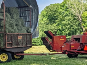 The hay trailer has high walls on the left, right, and back sides, and a short wall on the front side to contain the bales which are stacked neatly from front to back.