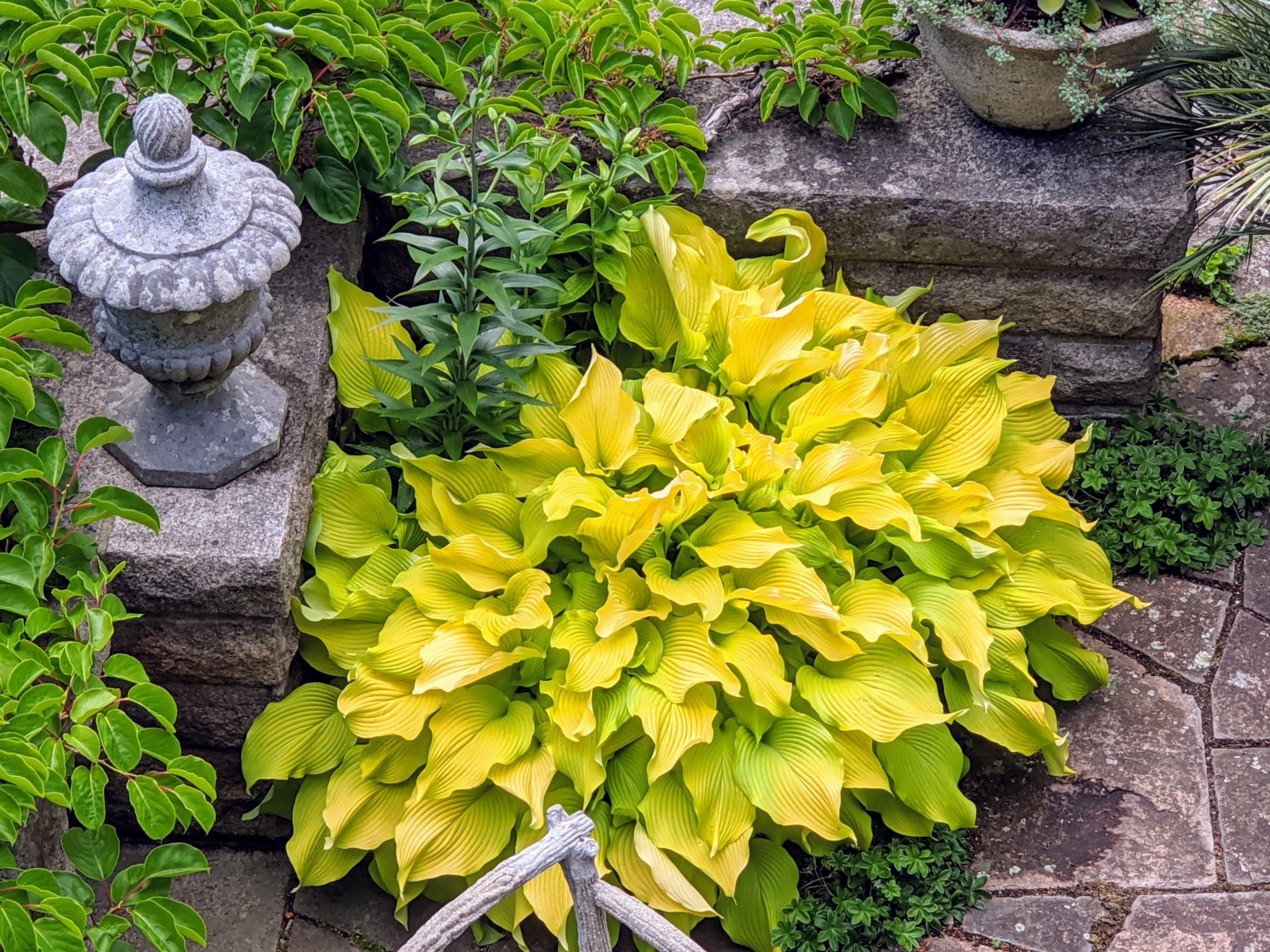 Early Summer Garden Tours at Skylands - The Martha Stewart Blog