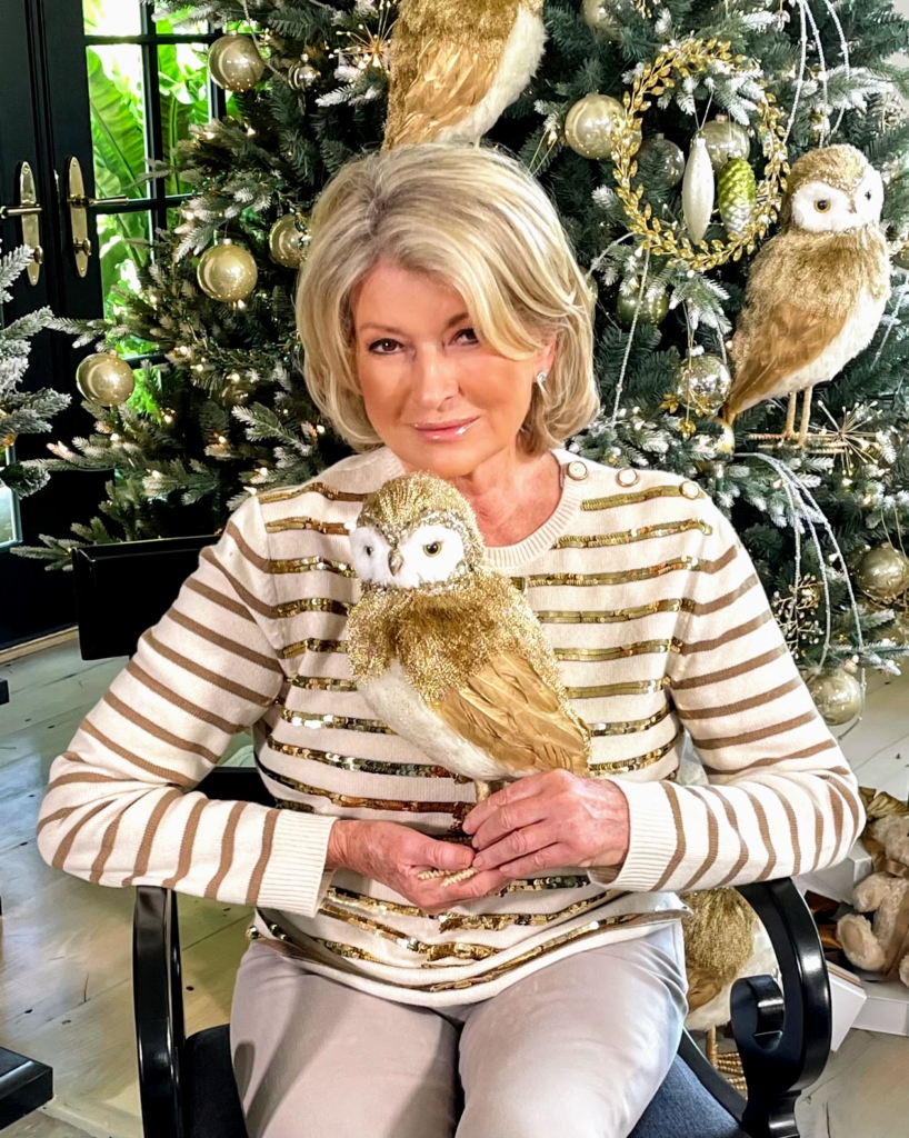 Celebrating "Christmas in July" on QVC The Martha Stewart Blog