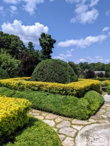 Once everything is trimmed, the terrace looks so much better. All my boxwood is also treated monthly with TopBuxus Health Mix, which prevents the fungal disease called box blight and provides the plants with rich nutrients that restore new green leaves and strong branches.