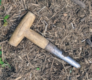 This is a dibber. A dibber or dibble or dibbler is a pointed wooden stick for making holes in the ground so that seeds, seedlings or small bulbs can be planted. Dibbers come in a variety of designs including the straight dibber, this T-handled dibber, trowel dibber, and L-shaped dibber.