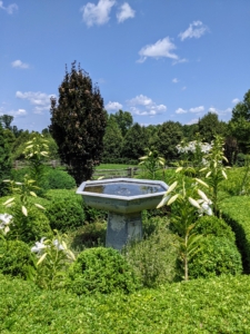 And here is one of two hand-casted antique fountains I purchased many year ago. It is turned on with the smallest dome of water possible – I wanted to be sure it was an attractive spot for visiting birds. I love this view looking over the peaceful fountains and out onto the pretty summer landscape. I hope you are all enjoying your gardens this season.