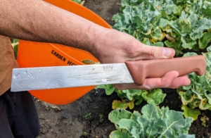 Ryan uses a special produce knife that is narrow, with a straight-edge blade that also cuts from the top end. This knife fits between broccoli stalks and easily cuts vegetables at the base.