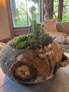 Here's another vessel filled with beautiful moss. Moss is a slow growing wild plant that should never be harvested in large amounts - in fact, it is illegal to take any moss from national forests without permission. Once the season is over, we always make sure the moss we harvested is returned to the forest where it can regenerate and flourish.