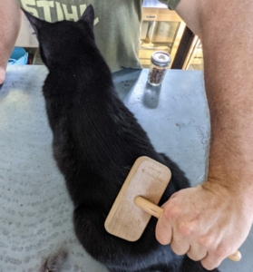 And here, Ryan is brushing his back. Notice - he stays still on his own. Blackie is shorthaired, so Ryan brushes his coat once a week and checks it for ticks and burs every day.