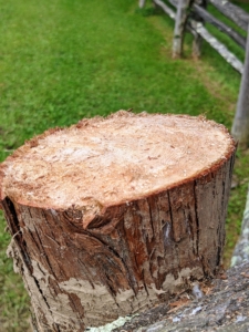 This new post should last another 15-years or more. It is made of cedar. Cedar is extremely durable and holds up well to outdoor weather conditions.