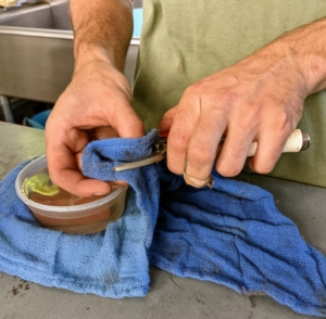 It is important to also get all the dirt off the metal parts – anything left on tools can attract and hold moisture and cause rust. Once Brian cleans the pruners, he wipes it down with a cloth.