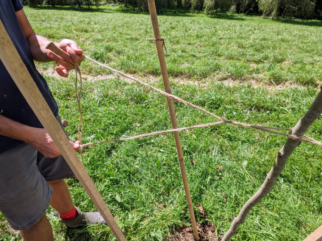 Making Tree Stakes The Martha Stewart Blog