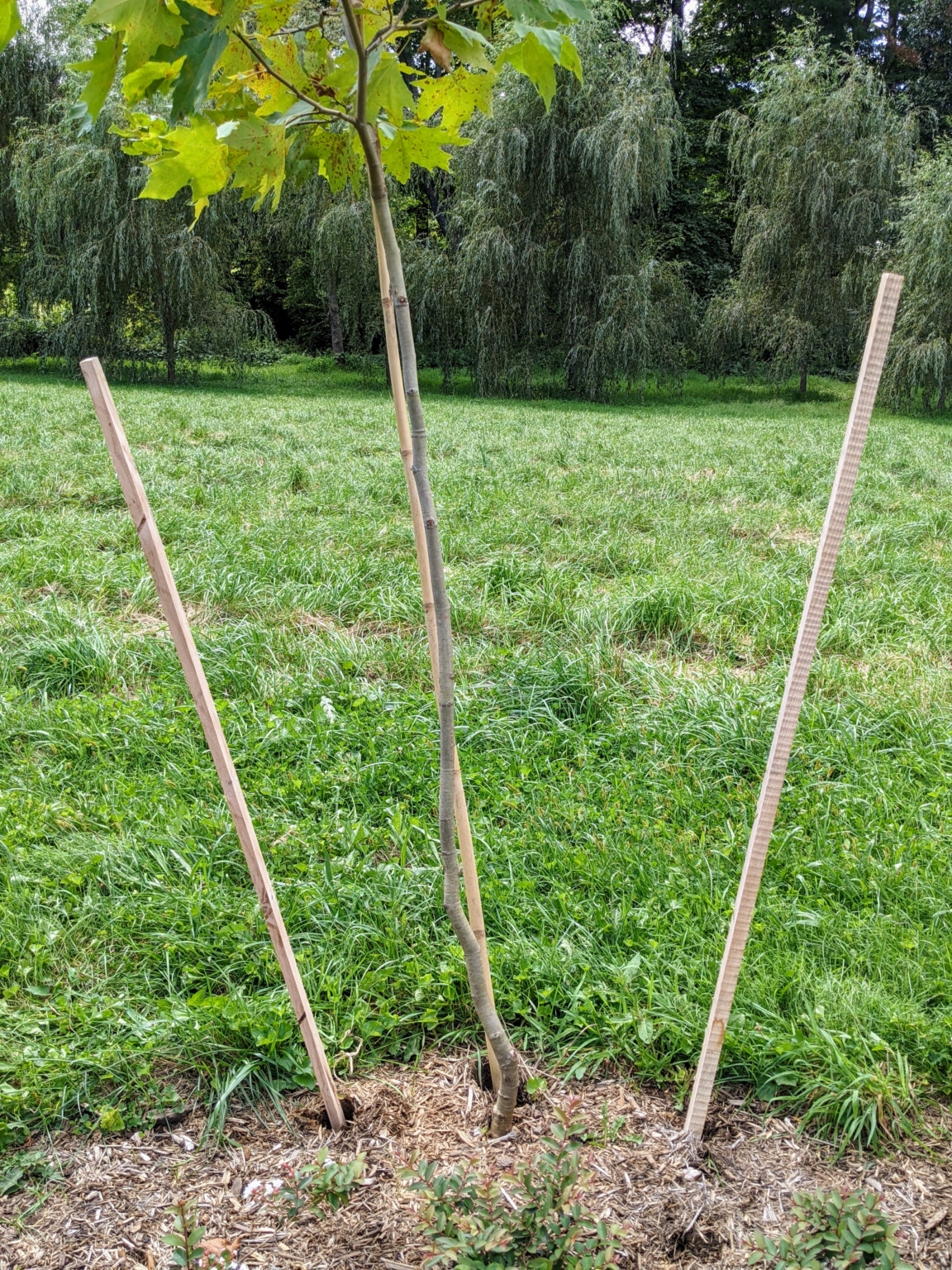 making-tree-stakes-the-martha-stewart-blog