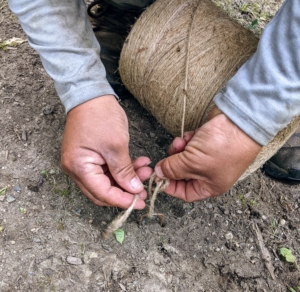 Chhiring uses jute twine and sod staples to indicate the section to avoid when seeding.