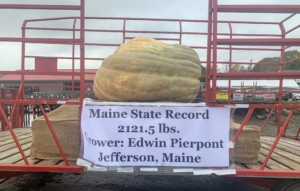 There was also a pumpkin weighing contest. The winning pumpkin was grown by Ed Pierpoint, who showed up with the biggest pumpkin ever weighed or grown in Maine. This pumpkin weighs more than a ton at 2,121.5 pounds. Unfortunately, the Regatta part of the Festival was canceled due to the pandemic, but if you're in the area this time next year, be sure to check out the festivities in Damariscotta! Thanks for the photos, Judy! Halloween is just five days away - how did you decorate your pumpkins? Share your comments below.