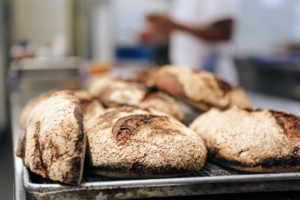 This is single-origin levain, or sourdough bread just out of the oven. (Photo by Lori Berkowitz for Stone Barns Center for Food & Agriculture)