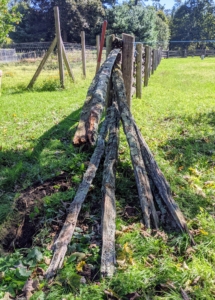 Once the posts are removed from the ground, the antique horizontal railings are carefully placed to the side - many of the pieces will be re-connected, while others will be stored away or future use.