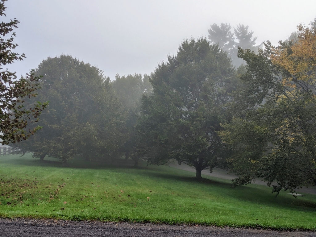 Fog Over the Farm - The Martha Stewart Blog