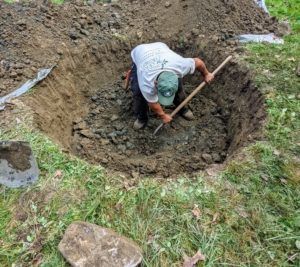 I chose to plant the tree near my tennis court and across the carriage road from my chicken coops. Here, a hole is made at least twice the size of the tree's root ball.