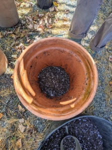 Always use fresh potting soil when transplanting as old potting mix tends to be soggy and depleted of nutrients. Here, Brian fills the pot about a third full with the medium.