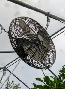 This greenhouse is also equipped with three circulation fans.