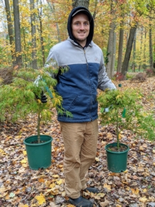 Once the new trees arrive at my farm, my head gardener, Ryan McCallister, positions them where they will be planted.