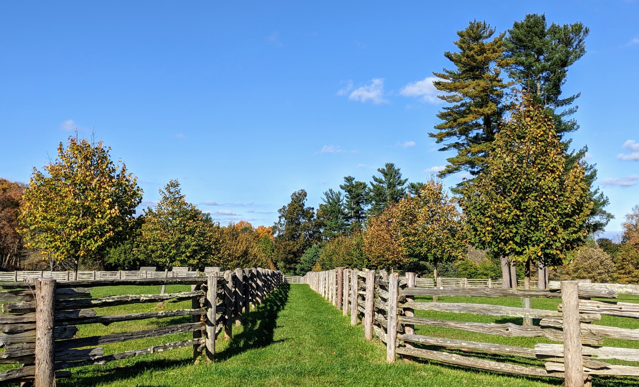More Autumn Colors at the Farm - The Martha Stewart Blog
