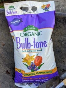 We always add Bulb-tone to our nutrient-rich soil. The food should be a balanced fertilizer that has a good amount of phosphorous. Fertilizing spring-blooming bulbs also helps them fight off diseases and pests.
