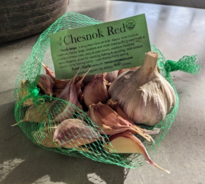 The Chesnok Red garlic is an heirloom variety. It is loved for its rich flavor as an all-purpose cooking garlic. It’s also well known as a superb baking garlic.