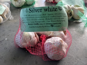 Softneck Silver White is known for being the longest storing garlic. It has large bulbs and pretty coloring. Silver Whites are flavorful, mild and great when baked and roasted.