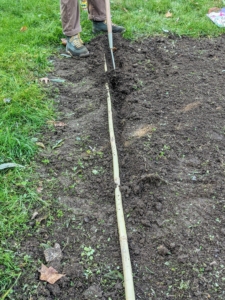 To make sure all the cloves are spaced evenly, Brian uses a long bamboo stick to measure out where the garlic will be planted. Doing this creates straight, pretty rows, but it is also important to give each clove enough room to grow and develop.