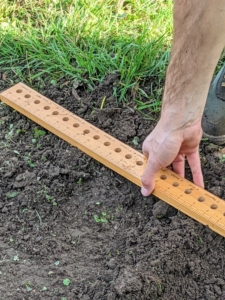 When planting multiple rows of garlic, be sure the rows are at least one-foot apart. Brian uses a ruler specifically designed for planting crops.