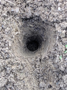 Each hole is also about four inches deep.