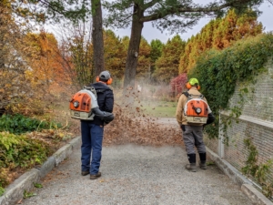 Here, Domi and Chhiring are blowing leaves outside my main greenhouse and flower cutting garden. They're using our trusted STIHL backpack blowers. We’ve been using STIHL's blowers for years here at my farm. These blowers are powerful and fuel-efficient. The gasoline-powered engines provide enough rugged power to tackle heavy debris while delivering much lower emissions.