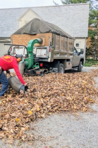 Pasang then directs the leaves to the opening of this vacuum tube connected to our dump truck. The leaves are taken to the compost area, where they will decompose and get used again as mulch next year.