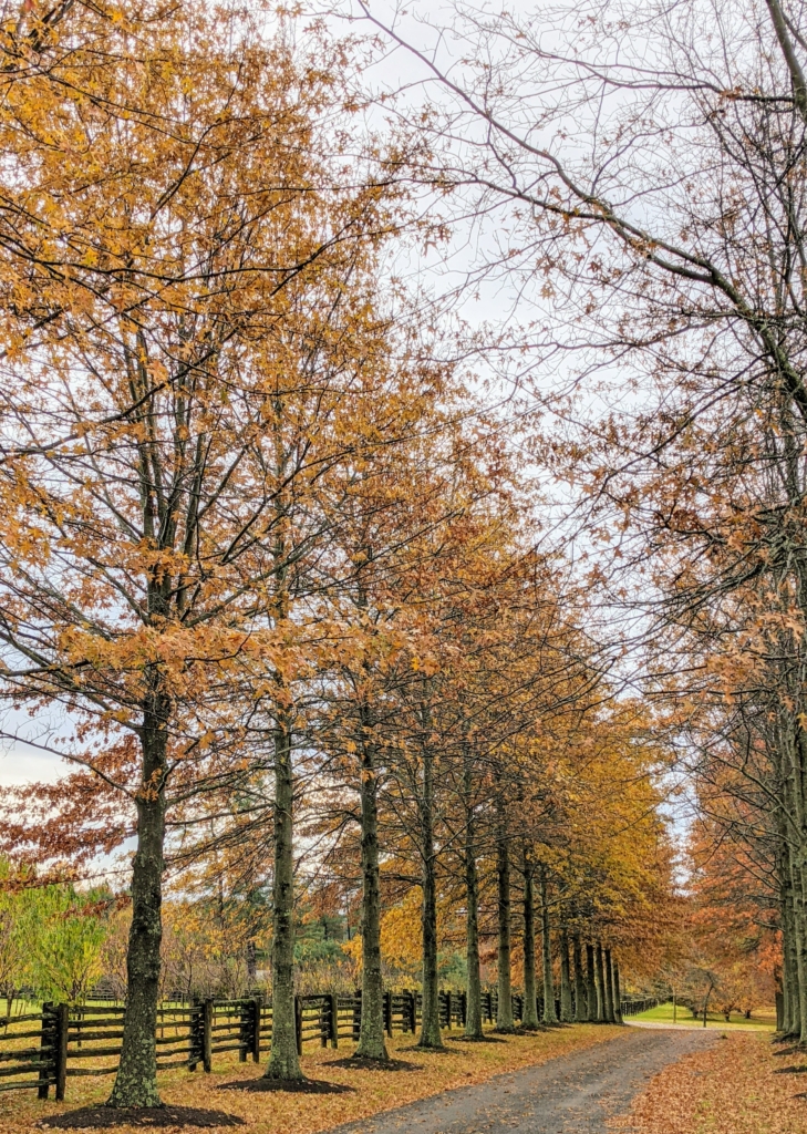 Fall Chores Around the Farm - The Martha Stewart Blog