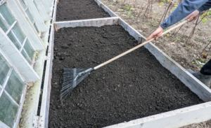 And then with a soft rake, levels the medium and removes any detritus or stones and other organic material that did not decompose.