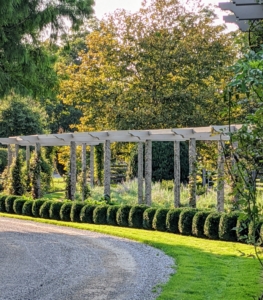 My long pergola is located along the carriage road leading to my home. Here it is in September - this garden is among the first guests see when they visit the farm.