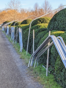 These are 10-foot wide bow sections – they will last quite awhile and give the boxwood a lot of room to grow. Building the frame at least a foot taller than the boxwood protects any heavy snow from weighing down onto the tender foliage.