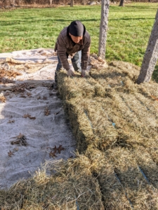 And then place them on top of the burlap. Phurba ensures the bales are positioned tightly together - it is important to cover the area completely, so the tubers are well-insulated.