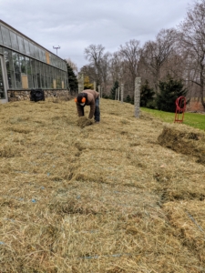 Any spaces between the bales are filled with loose flakes of hay.