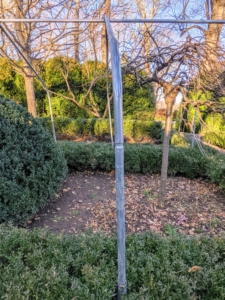 The piping is pounded into the ground – each one about four to five feet from the next, and then 10-foot wide bow sections are secured on top – this will last quite a while and give the boxwood a lot of room to grow.