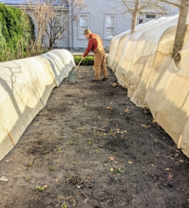 With the burlap secure, any snow that accumulates on top of the finished structures will sit on top or slide down the sides. Chhiring then rakes each of the beds, so they are neat and tidy.
