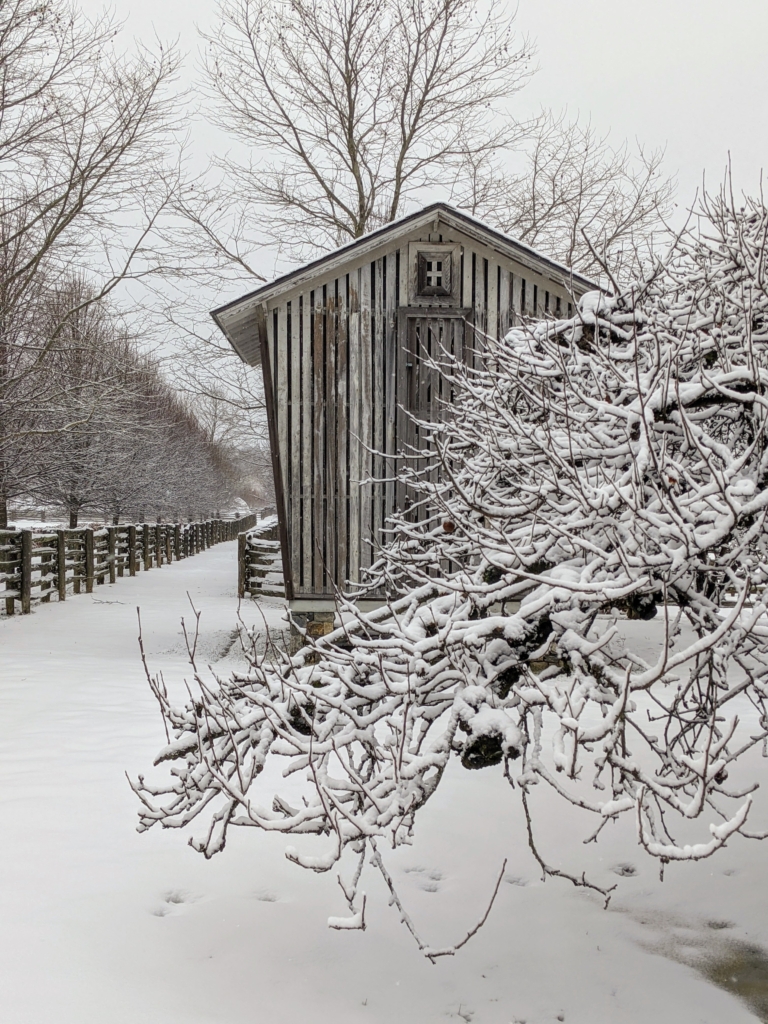 A Fresh Coating of Snow at My Farm - The Martha Stewart Blog