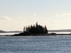 Outside Skylands, Cheryl took this picture of Seal Harbor from the beach. Thrumcap Island is straight ahead. The island is owned by Acadia National Park, but is managed as part of the Coast of Maine Wildlife Management Area and supports the nesting of many birds each year.