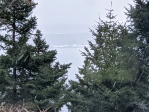 Seen from one of the bedroom windows - this view through the tall evergreens, the ocean and Sutton Island. This photo was also taken during the squall. Sutton Island is a small, private island just north of Cranberry Isles, Maine. There are no roads on the island and there is no regular ferry service.