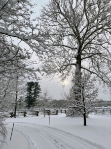 On this day, the snow started overnight and lasted until early morning - about an inch of snow an hour. By daylight, the entire farm was a veritable winter wonderland.