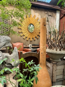 In this photo - a vintage French sunburst mirror on the wall, club chairs, and a specimen black olive tree on the left. Black olive trees reach heights ranging from 20 to 80 feet, and develop strong, sturdy trunks covered by a thick, dense gray, deeply fissured bark. The tree canopy is also dense and tight, with most branching spreading outward and horizontally when mature.