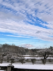 And by lunchtime, the clouds parted revealing this bright blue sky. Even if you don't love winter, I am sure you agree, the scenery is breathtaking. Please go to my Instagram page @marthastewart48 for more of my photos.