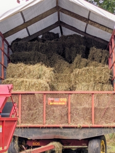 I am so proud of the hay we grow here at the farm. Each bale is about 15 by 18 by 40 inches large. The number of flakes in the bale is determined by a setting in the baler. Many balers are set for 10 to 12 flakes per bale. I have two hay trailers. Each one can hold about 150-bales.